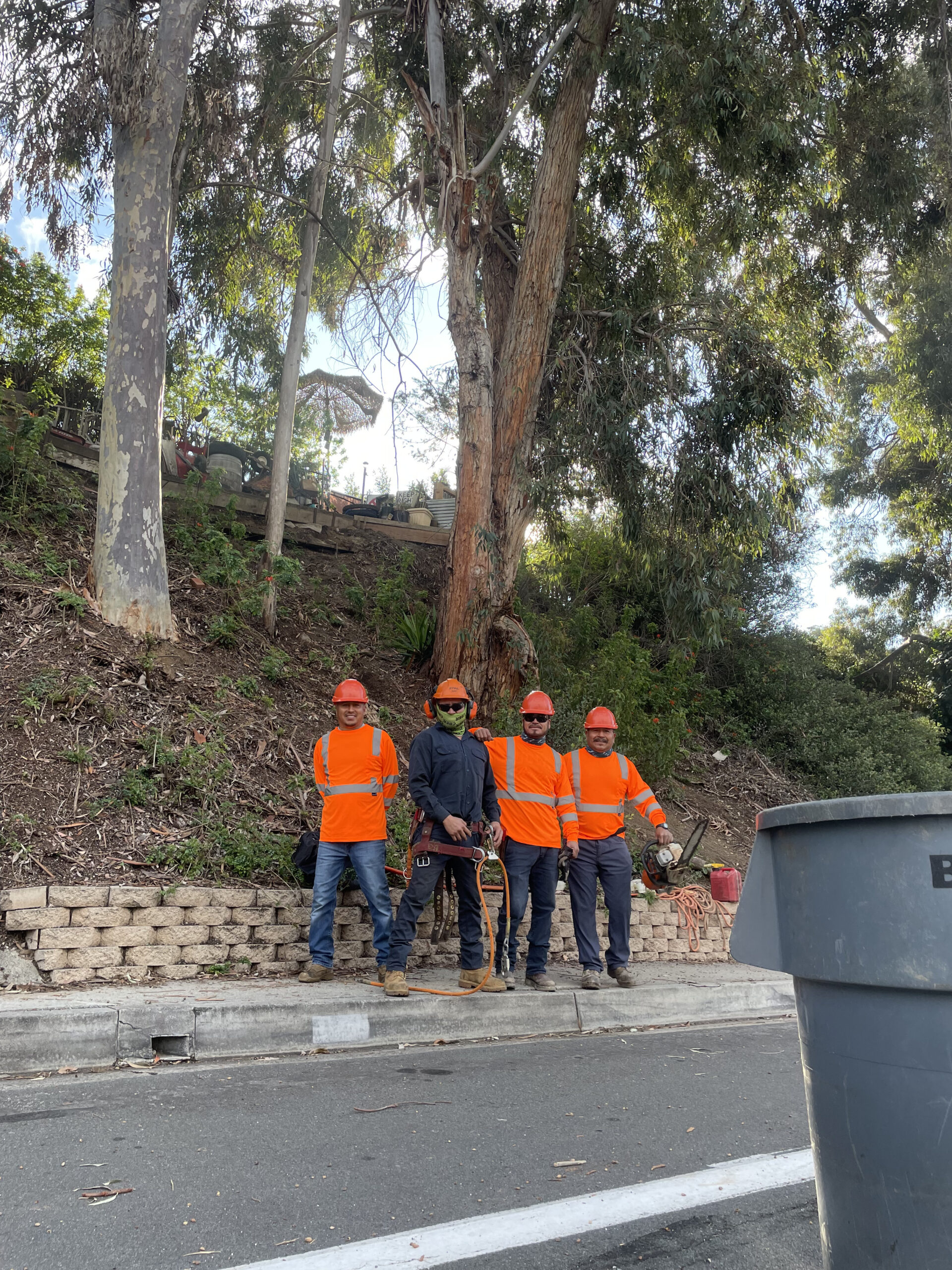 Coast to Coast Tree Care Crew