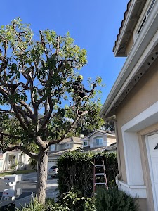 Coast to Coast Tree Care place picture